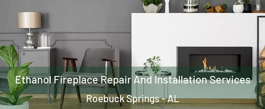 Ethanol Fireplace Repair And Installation Services Roebuck Springs - AL