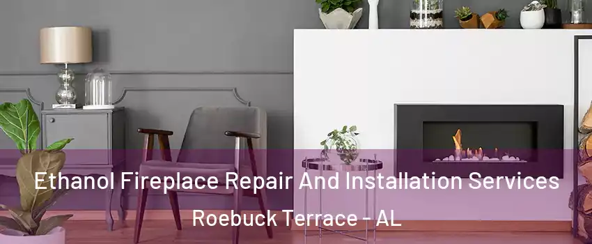 Ethanol Fireplace Repair And Installation Services Roebuck Terrace - AL