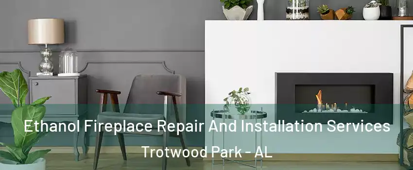 Ethanol Fireplace Repair And Installation Services Trotwood Park - AL