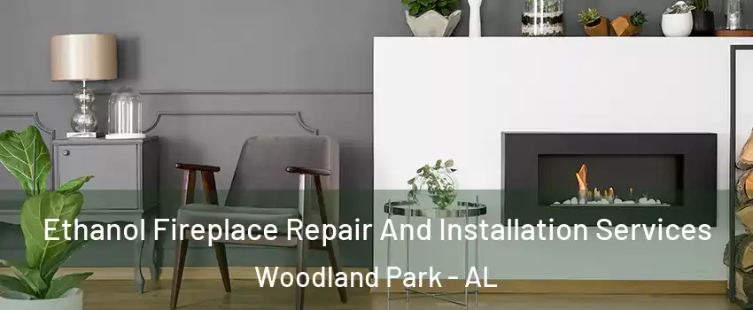Ethanol Fireplace Repair And Installation Services Woodland Park - AL