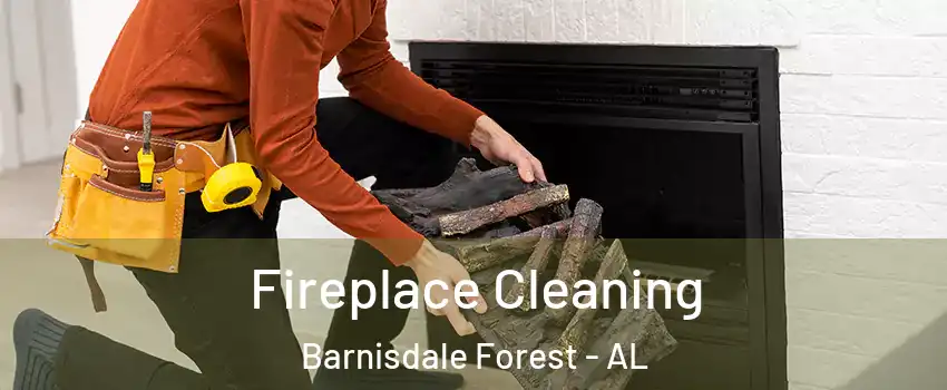 Fireplace Cleaning Barnisdale Forest - AL