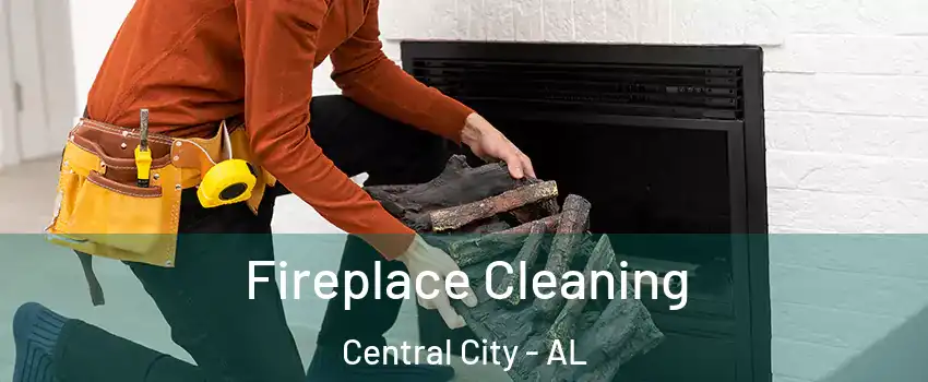 Fireplace Cleaning Central City - AL