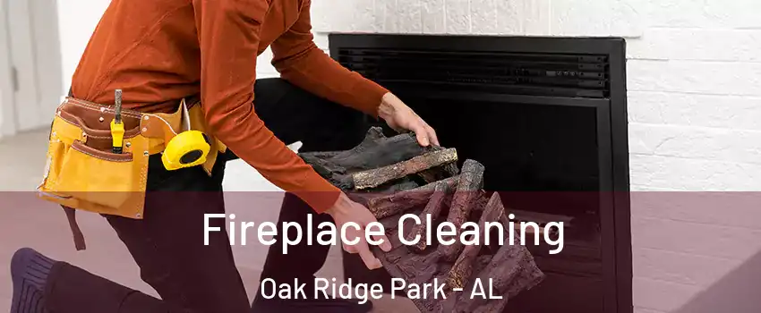 Fireplace Cleaning Oak Ridge Park - AL