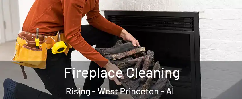 Fireplace Cleaning Rising - West Princeton - AL