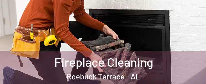 Fireplace Cleaning Roebuck Terrace - AL