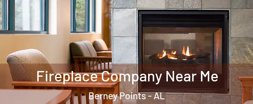 Fireplace Company Near Me Berney Points - AL