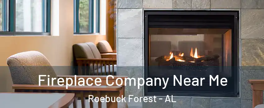 Fireplace Company Near Me Roebuck Forest - AL