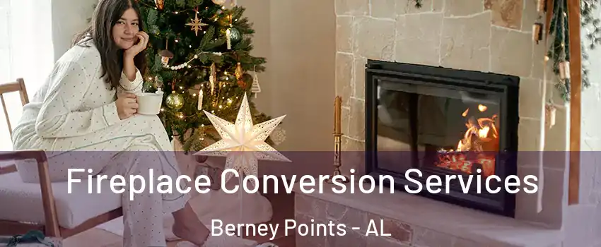 Fireplace Conversion Services Berney Points - AL