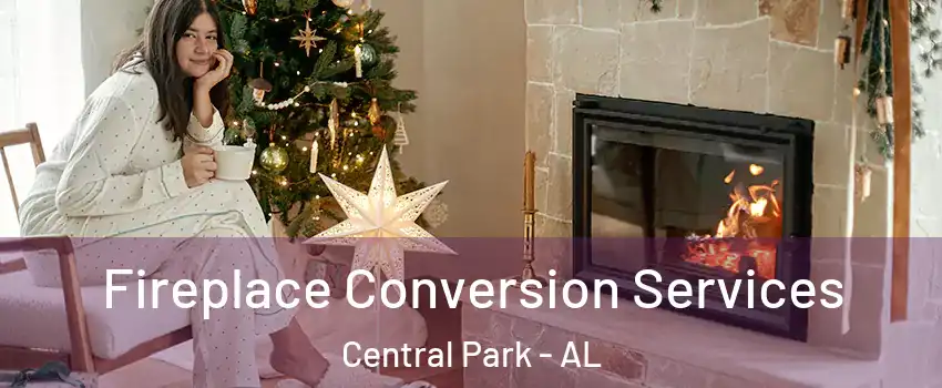 Fireplace Conversion Services Central Park - AL