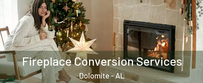 Fireplace Conversion Services Dolomite - AL