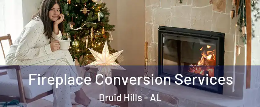 Fireplace Conversion Services Druid Hills - AL