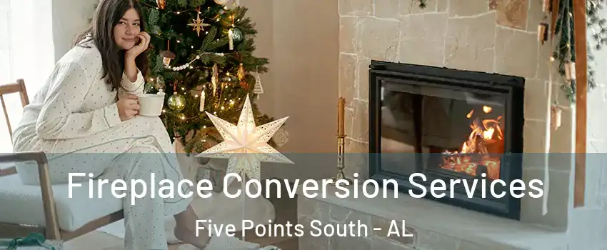 Fireplace Conversion Services Five Points South - AL
