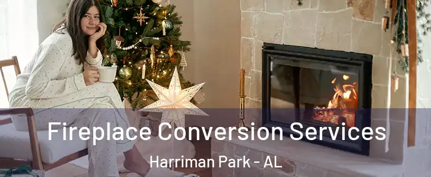 Fireplace Conversion Services Harriman Park - AL