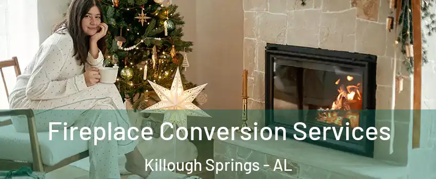 Fireplace Conversion Services Killough Springs - AL