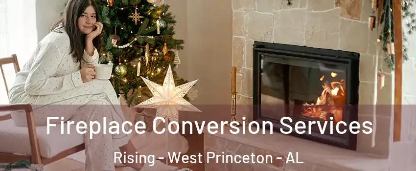 Fireplace Conversion Services Rising - West Princeton - AL