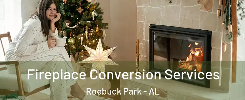 Fireplace Conversion Services Roebuck Park - AL