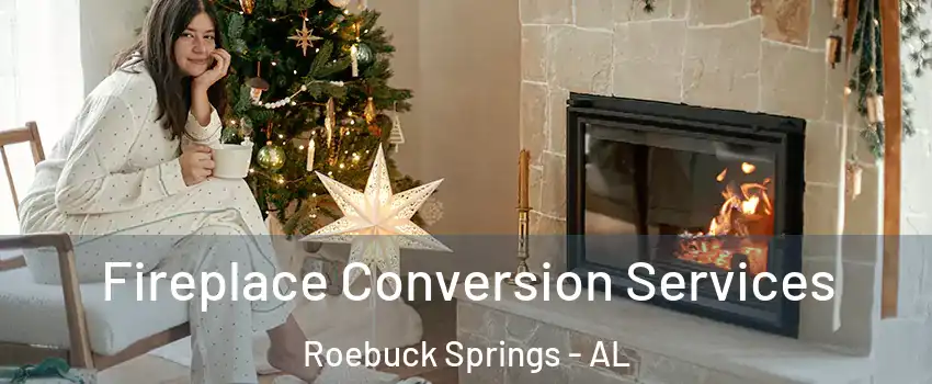 Fireplace Conversion Services Roebuck Springs - AL