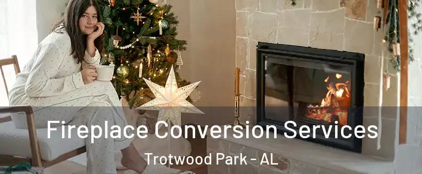 Fireplace Conversion Services Trotwood Park - AL