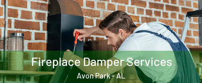Fireplace Damper Services Avon Park - AL