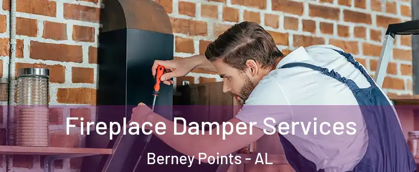 Fireplace Damper Services Berney Points - AL