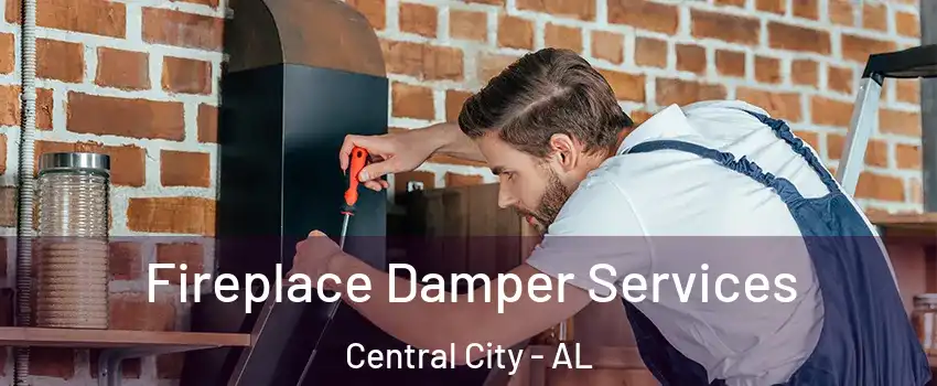 Fireplace Damper Services Central City - AL