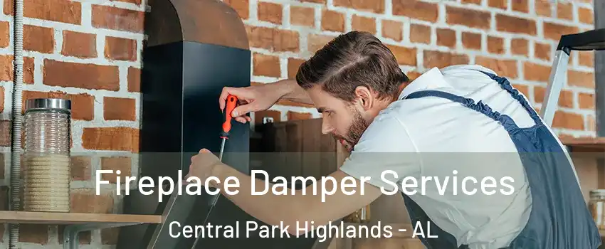 Fireplace Damper Services Central Park Highlands - AL