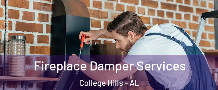 Fireplace Damper Services College Hills - AL