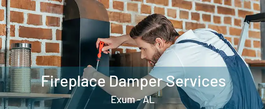 Fireplace Damper Services Exum - AL