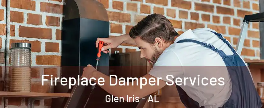 Fireplace Damper Services Glen Iris - AL