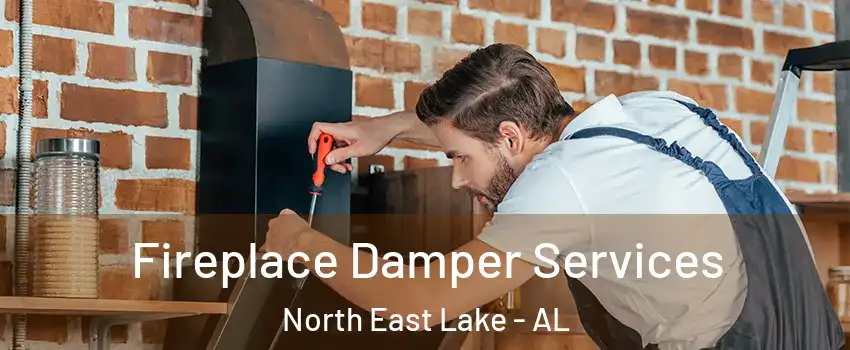 Fireplace Damper Services North East Lake - AL