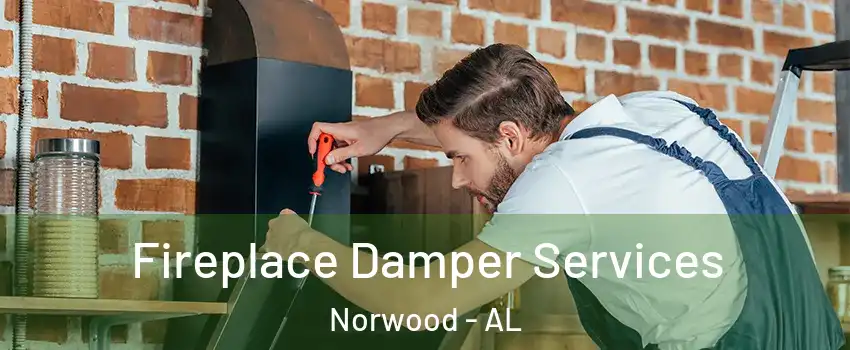 Fireplace Damper Services Norwood - AL