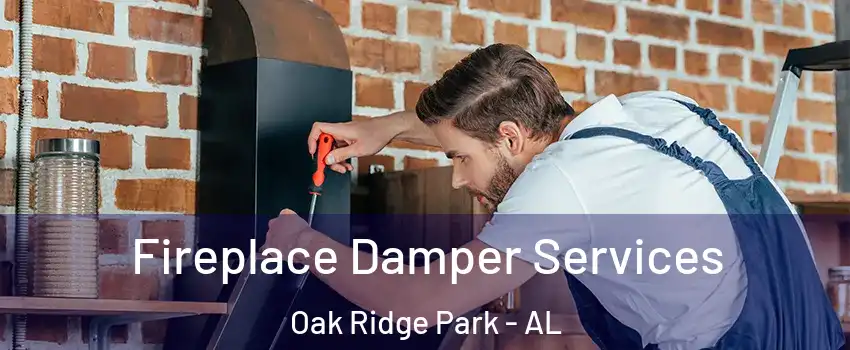 Fireplace Damper Services Oak Ridge Park - AL