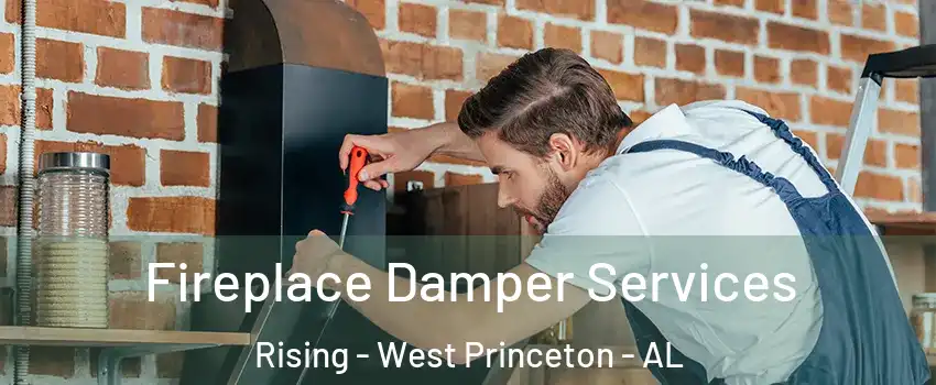 Fireplace Damper Services Rising - West Princeton - AL