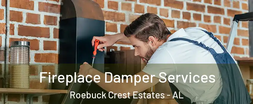 Fireplace Damper Services Roebuck Crest Estates - AL