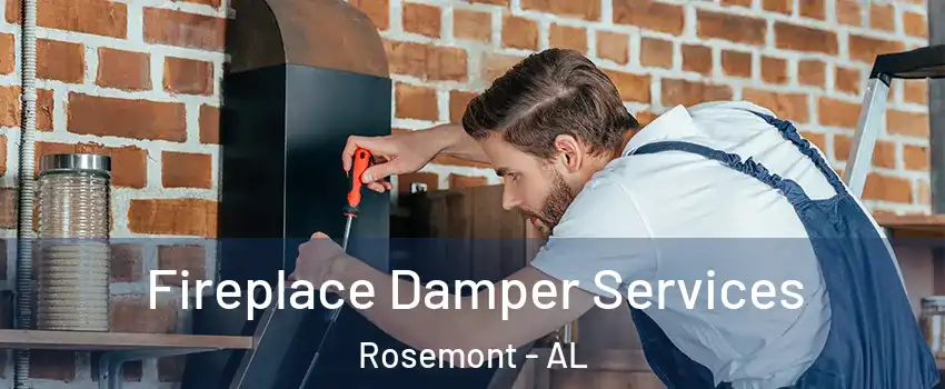 Fireplace Damper Services Rosemont - AL
