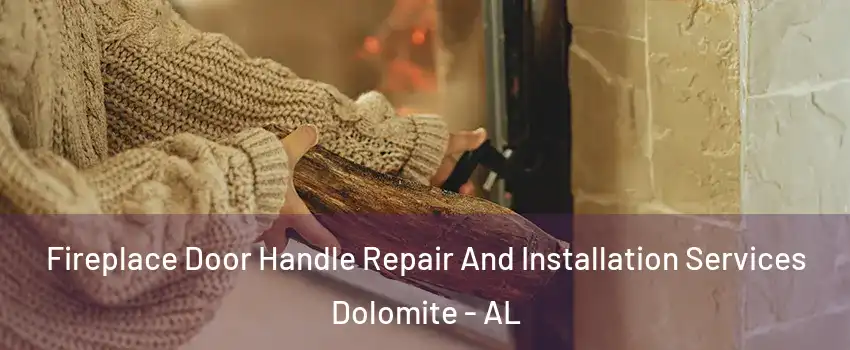 Fireplace Door Handle Repair And Installation Services Dolomite - AL