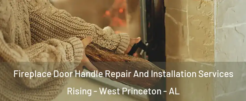 Fireplace Door Handle Repair And Installation Services Rising - West Princeton - AL