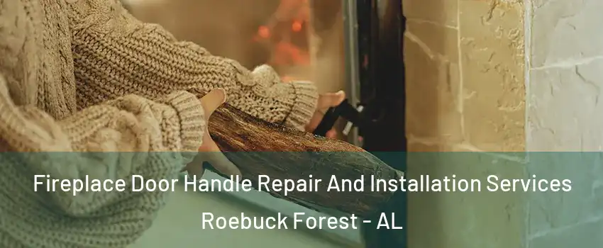 Fireplace Door Handle Repair And Installation Services Roebuck Forest - AL