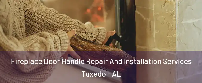 Fireplace Door Handle Repair And Installation Services Tuxedo - AL