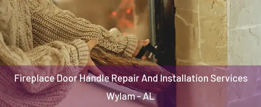 Fireplace Door Handle Repair And Installation Services Wylam - AL