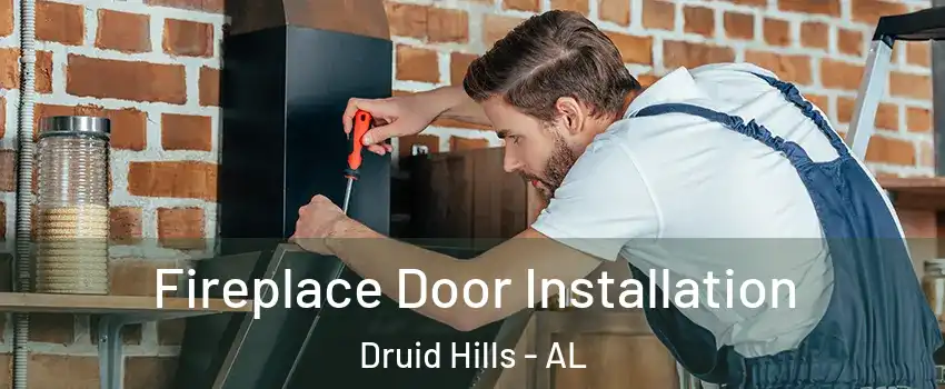 Fireplace Door Installation Druid Hills - AL