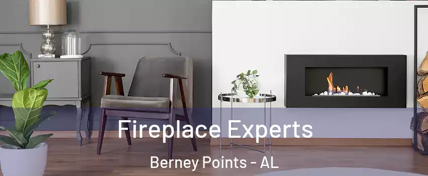 Fireplace Experts Berney Points - AL
