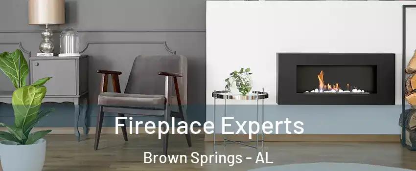 Fireplace Experts Brown Springs - AL