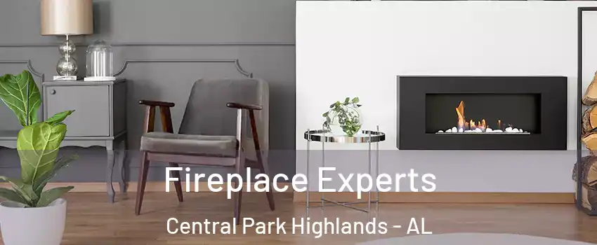 Fireplace Experts Central Park Highlands - AL