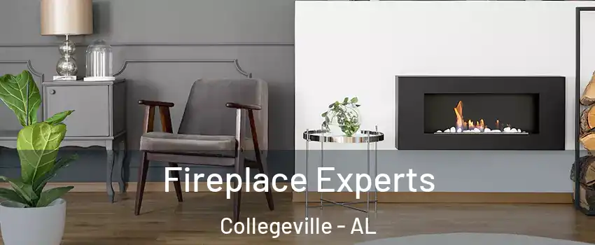 Fireplace Experts Collegeville - AL