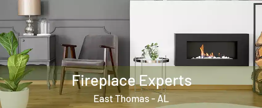 Fireplace Experts East Thomas - AL
