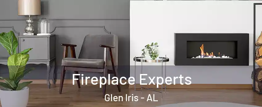 Fireplace Experts Glen Iris - AL