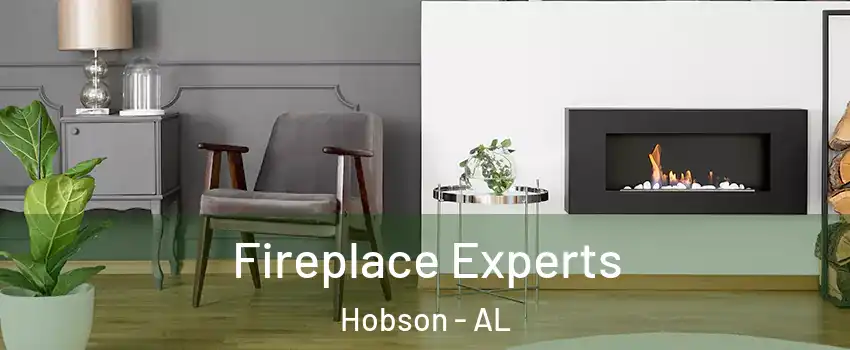 Fireplace Experts Hobson - AL