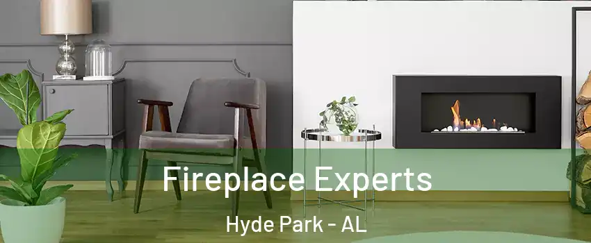 Fireplace Experts Hyde Park - AL