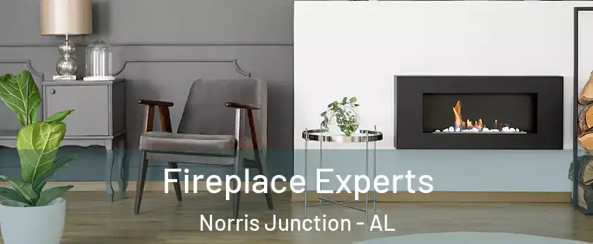 Fireplace Experts Norris Junction - AL